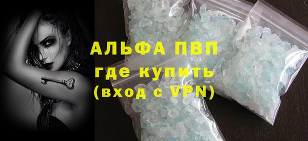 ECSTASY Бородино