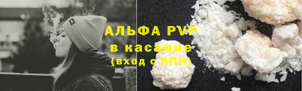 ECSTASY Бородино
