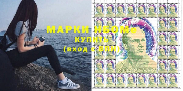 ECSTASY Бородино
