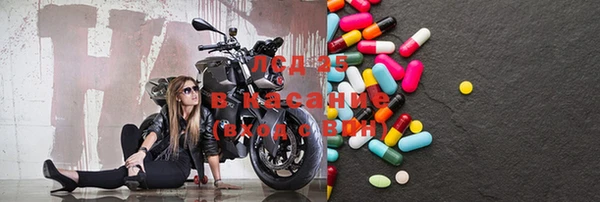 ECSTASY Бородино