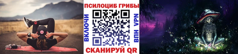 Псилоцибиновые грибы Psilocybine cubensis  Абакан 