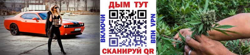 Бошки Шишки VHQ Абакан